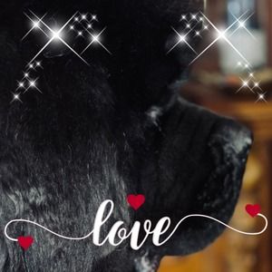 Meet your Posher, Colleen